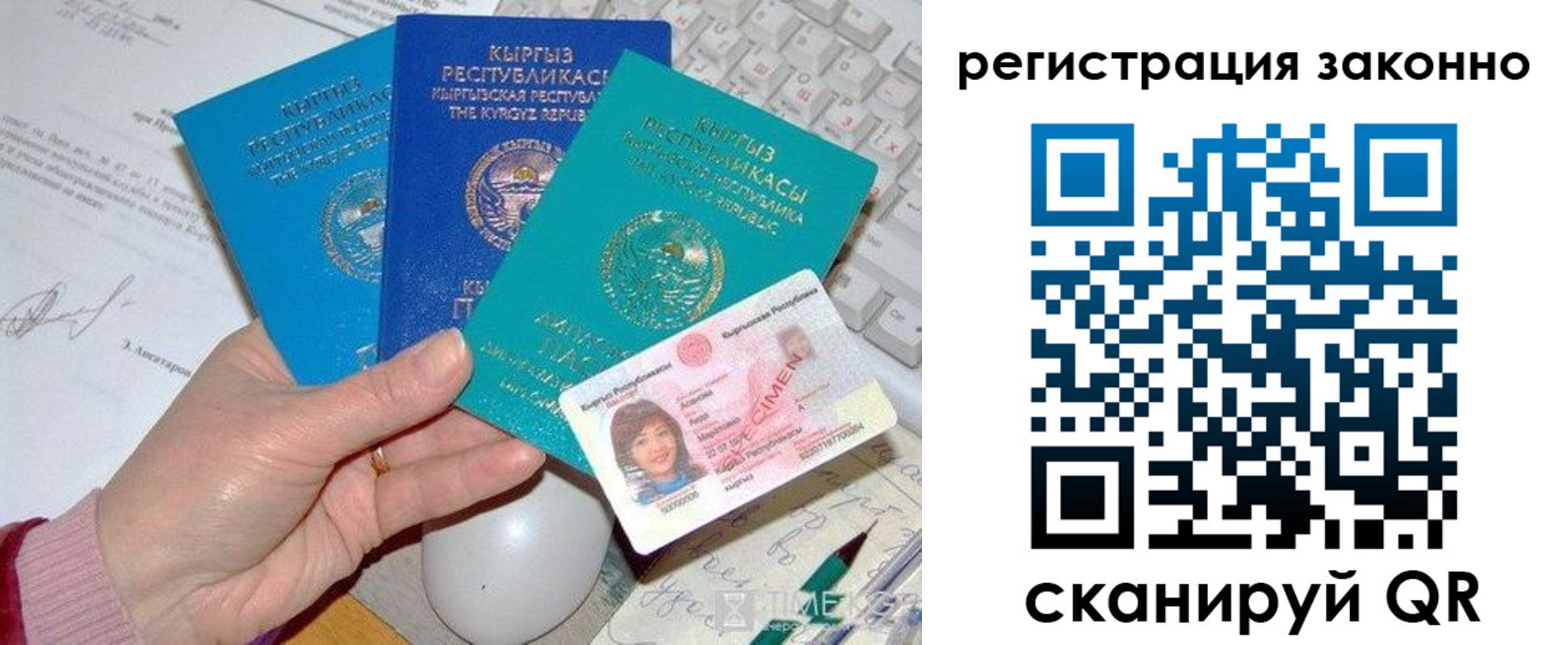 прописка для школы в Щиграх